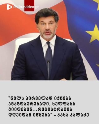 "წელს პირველად იქნება ანაზღაურებადი, ხელფასს მიიღებენ...რეგისტრაცია დღეიდან იწყება" - კახა კალაძე