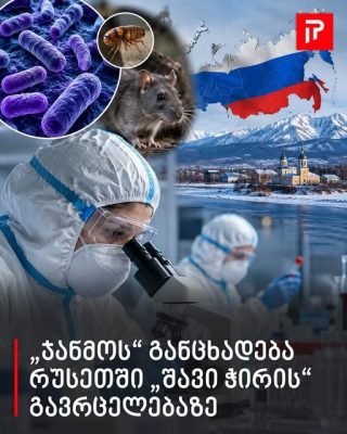 „ჯანმოს“ განცხადება რუსეთში „შავი ჭირის“ გავრცელებასთან დაკავშირებით