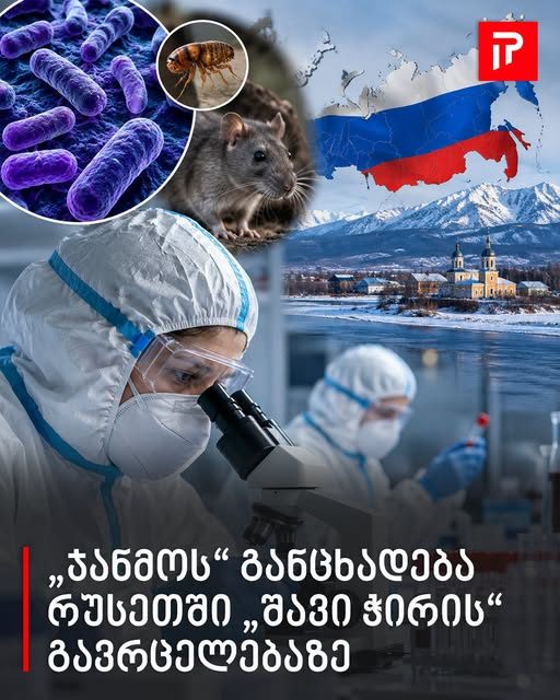 „ჯანმოს“ განცხადება რუსეთში „შავი ჭირის“ გავრცელებასთან დაკავშირებით