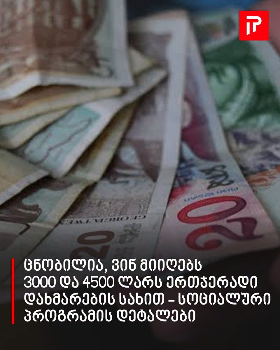 სოციალური პროგრამის დეტალები