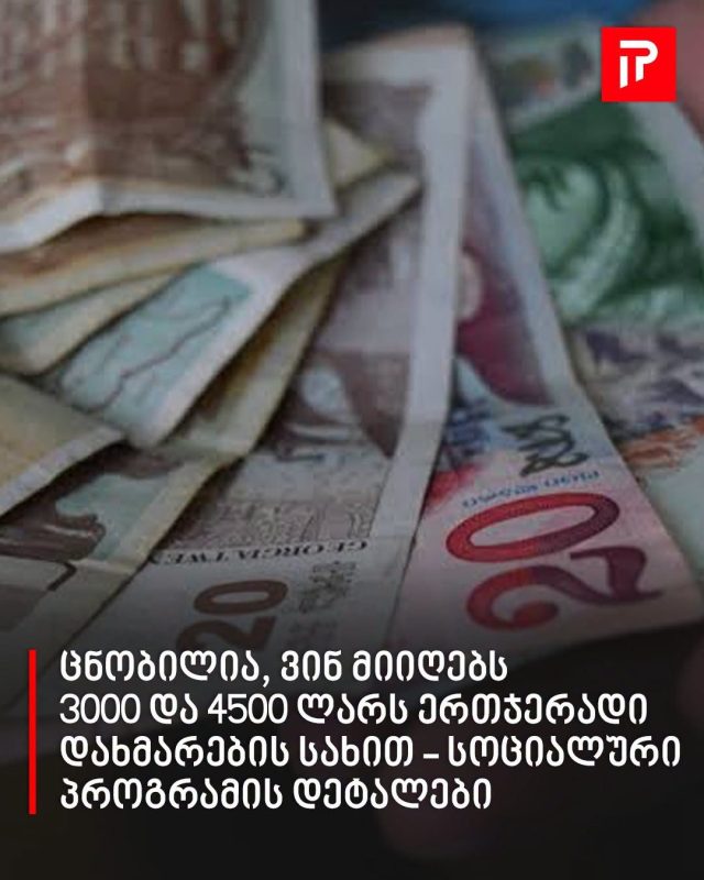 სოციალური პროგრამის დეტალები